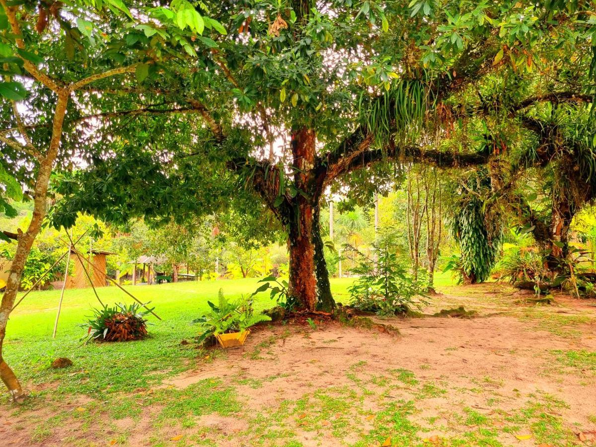 מנאוס Ponta Poranga Jungle Lodge מראה חיצוני תמונה