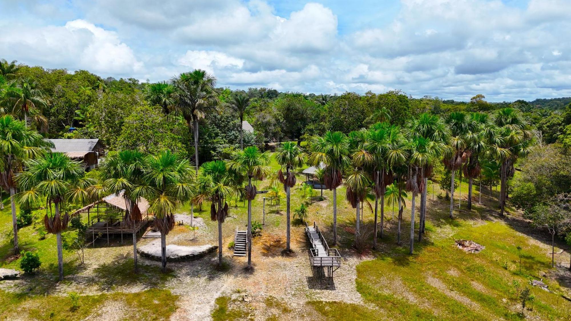 מנאוס Ponta Poranga Jungle Lodge מראה חיצוני תמונה