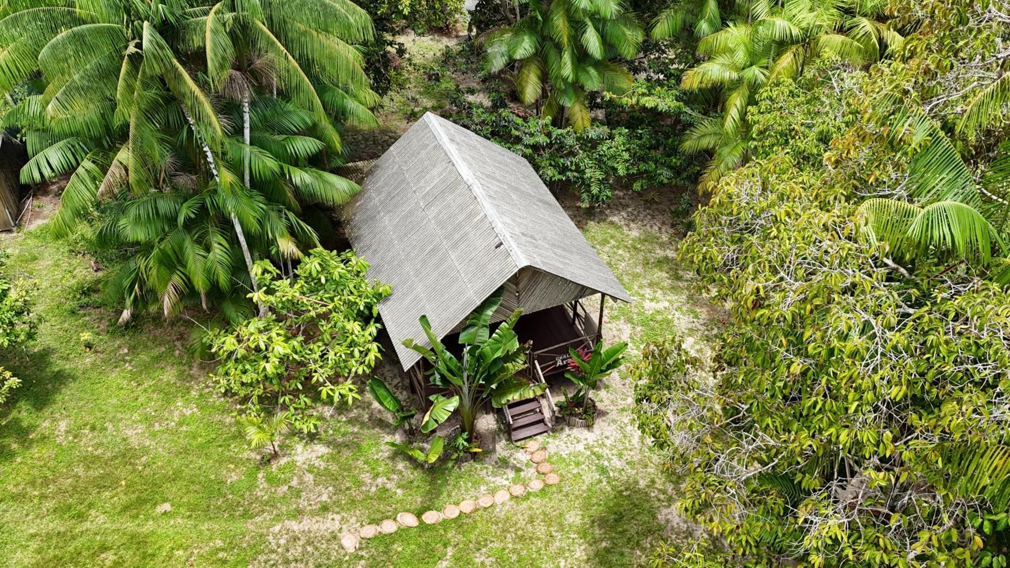 מנאוס Ponta Poranga Jungle Lodge מראה חיצוני תמונה