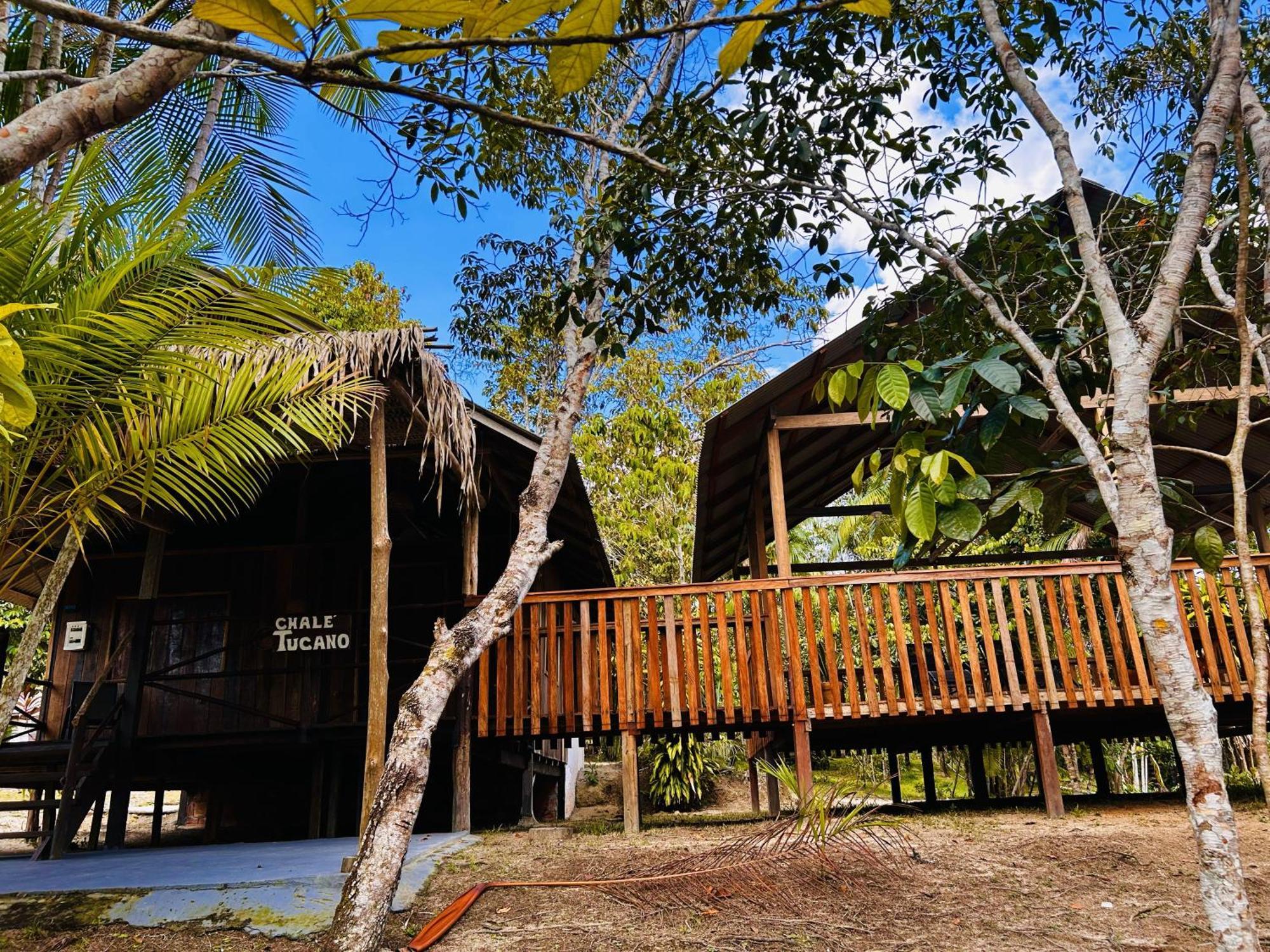מנאוס Ponta Poranga Jungle Lodge מראה חיצוני תמונה